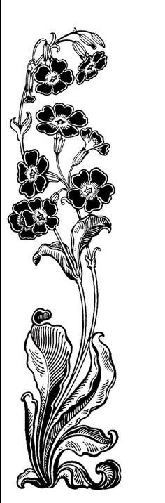 a black and white drawing of flowers