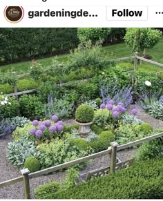 a garden filled with lots of different types of plants