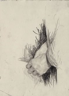 a pencil drawing of someone's hand holding something in their left hand, with grass on the other side