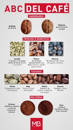 the different types of beans and coffee beans