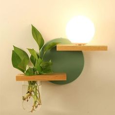 a plant in a vase sitting on top of a shelf next to a wall light