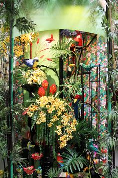 an assortment of tropical plants and flowers on display