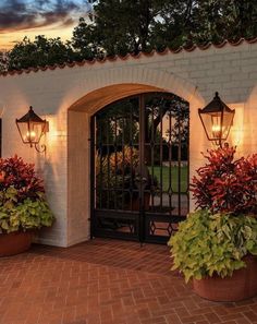 two large planters filled with plants in front of a white building at night time