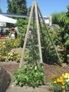 the garden is full of flowers and vegetables