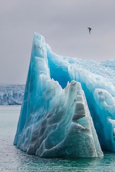 an iceberg in the water with a bird flying over it