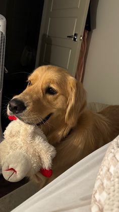 a brown dog laying on top of a bed next to a white stuffed animal toy