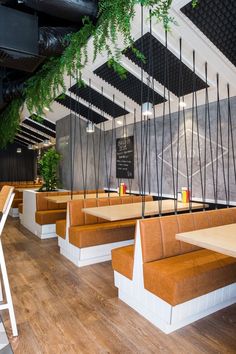 an empty restaurant with wooden benches and hanging plants