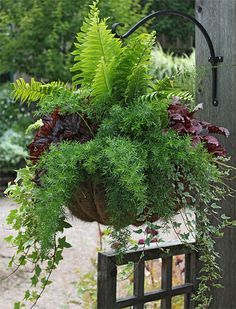 a potted plant hanging from a wooden post