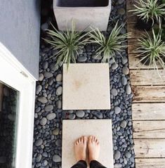 there is a person standing on the floor next to some rocks and plants with their feet up