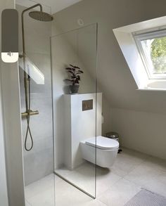 a white toilet sitting next to a shower in a bathroom under a skylight with a potted plant on the window sill