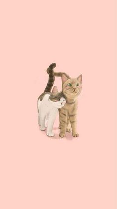 Couple Cat, Interesting Drawings, Iphone Wallpaper Classy, Future Wallpaper, Emoji Photo, Pink Phone, Drawing Journal, Witchy Wallpaper, Instagram V