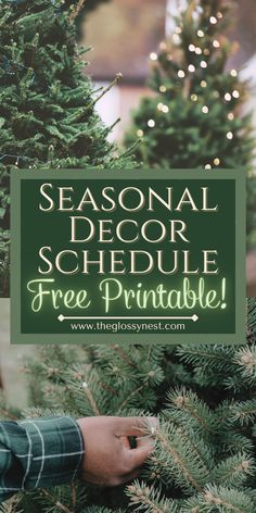 a person holding a christmas tree with the words seasonal decor schedule free printable