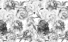 black and white flowers are shown in this floral wallpaper pattern, which is very similar to the peonies