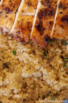 chicken breast and rice on a plate with garnish