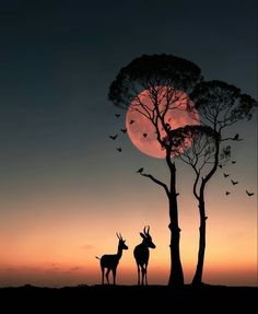 two deer standing next to each other under a full moon