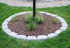 a mailbox sitting in the middle of a flower bed next to a sidewalk and grass