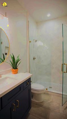 a bathroom with a sink, toilet and shower stall in the background is a potted plant