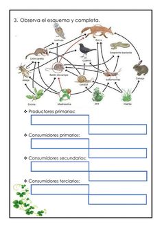 a diagram with animals and plants on it, including the name of each animal in spanish