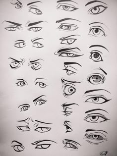 various types of eyes drawn in pencil