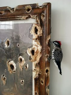 a bird that is sitting on a frame with holes in it's back side