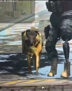 two dogs are walking down the street with umbrellas on their heads and one is wearing rain boots