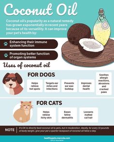 the benefits of coconut oil for dogs and cats