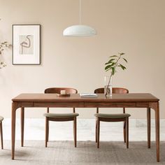 a dining table with four chairs and a potted plant on the side, in front of a beige wall