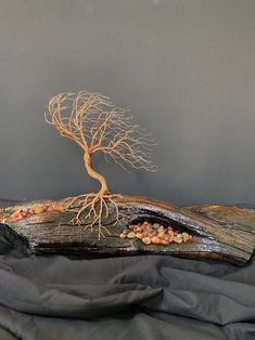 a tree is growing out of an old book that has been turned into a sculpture