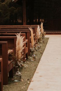 rows of wooden benches lined up next to each other with plants growing out of them