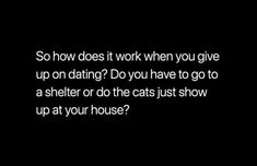 a black background with the words so how does it work when you give up on dating? do you have to go to a shelter or do the cats just show up at your house?