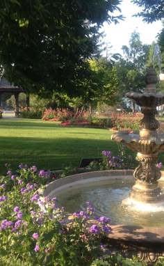 a water fountain surrounded by purple flowers in a park