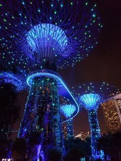 gardens by the bay at night lit up with blue lights and trees in the foreground