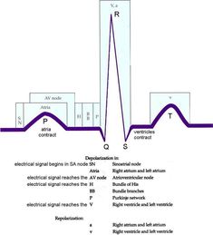 the diagram shows an electrical signal and its corresponding signals