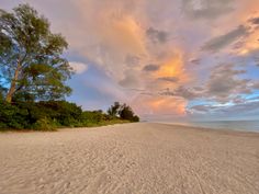 the sun is setting on an empty beach with trees and bushes in the foreground