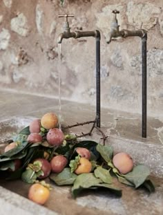 some fruit is laying on the ground next to two faucets with water running from them