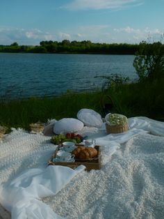 a picnic is set up on the bank of a river with food and water in it