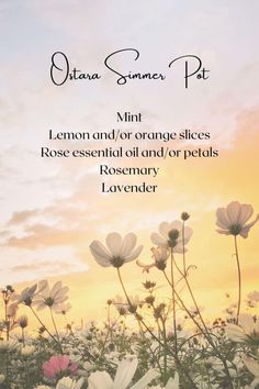 Spring Simmer Pots Witchcraft, Ostara Simmer Pot Recipes, Spring Equinox Simmer Pot, Ostara Simmer Pot, Beltane Simmer Pot, Imbolc Simmer Pot, Spring Equinox 2024, Spring Simmer Pot Recipes