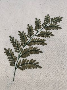 a close up of a green plant on a white cloth with stitching in the middle