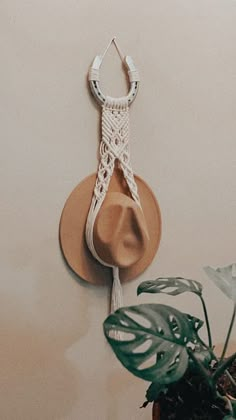 a hat hanging on the wall next to a potted plant