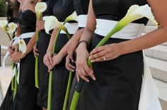 the bridesmaids are wearing black and white dresses with green stems in their hands