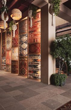 an indoor area with many rugs and potted plants on the side of it