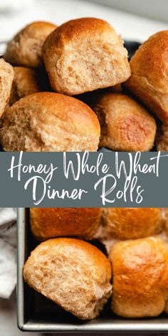 honey whole wheat dinner rolls in a pan