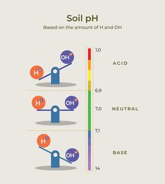 Soil ph based on amount of H and OH. Balancing of acid and base. alkaline level, acidity level for agriculture Agriculture Design, Plant Physiology, Acid Base, Ph Levels, Agriculture Farming, Soil Ph, Agriculture, Soil, Stock Vector