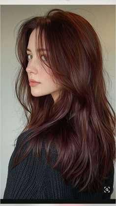 Dark Hair Fall Colors, Color Of Hair Ideas, Fall Auburn Hair Color, Dark Red Brown Hair Color Brunettes, Brown Colorful Hair, Short Dark Brown Hair Styles, Dark Brown Hair Warm Red Undertones, Slightly Red Brown Hair, Rich Brown Hair Colors