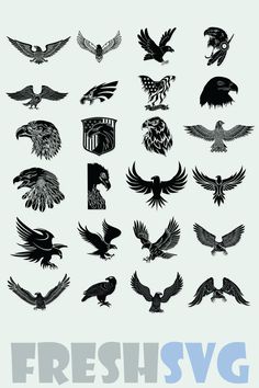 the silhouettes of different birds are shown in black and white