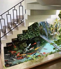 a fish pond in the middle of a stair case