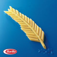 a pasta feather on a blue background with the word bazilla written below it