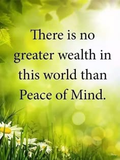 there is no greater well than this world than peace of mind quote on green grass with daisies