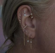 a close up of a person with ear piercings on their left and right sides