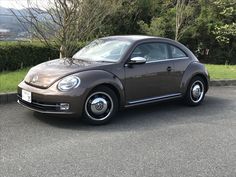 a brown volkswagen beetle parked in a parking lot next to some bushes and trees on the other side of the road